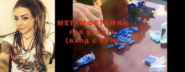 индика Киреевск
