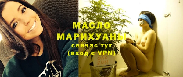 индика Киреевск